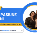 de la pasiune la bani